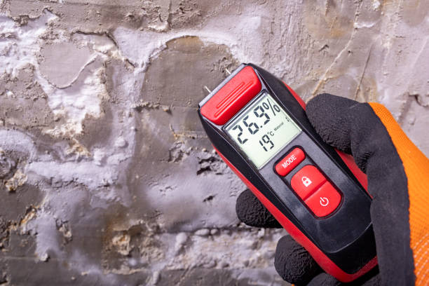 Best Kitchen Mold Remediation in West Perrine, FL